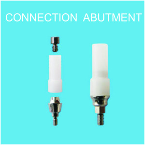 CONNECTION ABUTMENTS