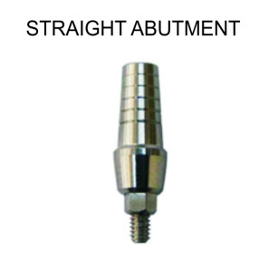 STRAIGHT ABUTMENT